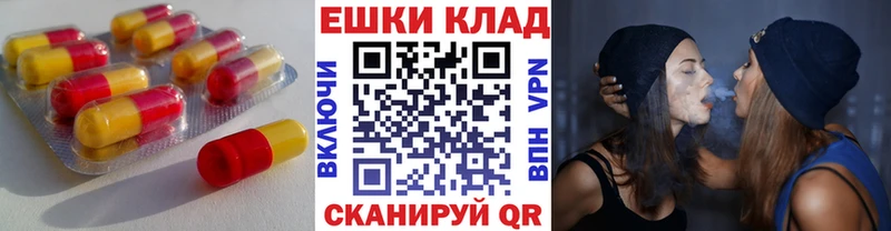 Ecstasy бентли  дарк нет клад  Буинск 