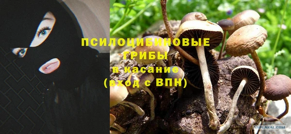 метамфетамин Сосновка