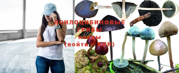таблы Володарск