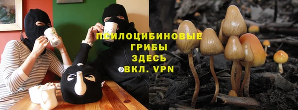 дживик Волосово