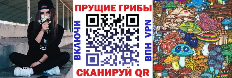 Галлюциногенные грибы прущие грибы  купить наркотик  мега вход  Буинск 
